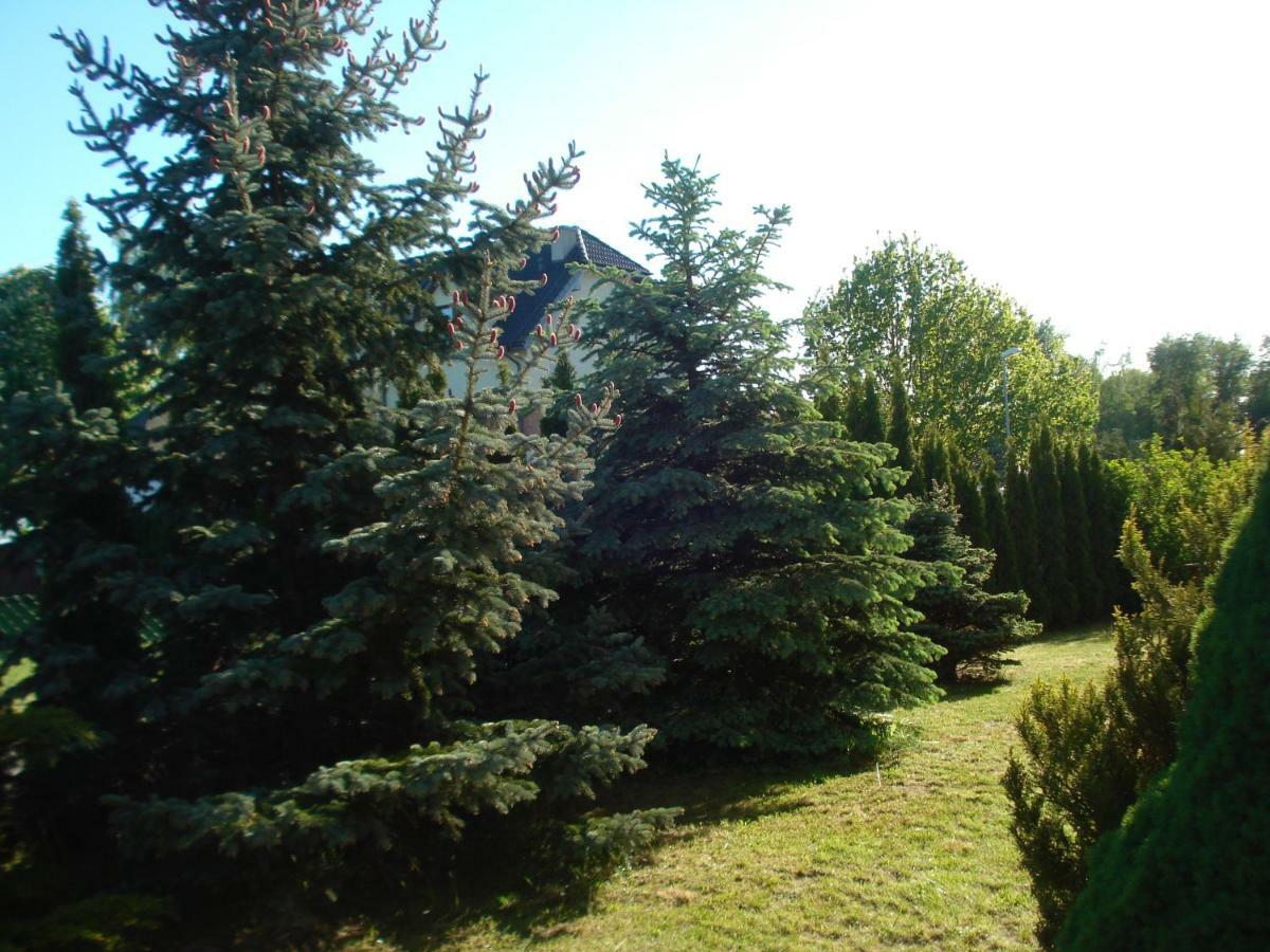 Willa Grazyna Dzwirzyno Exterior photo